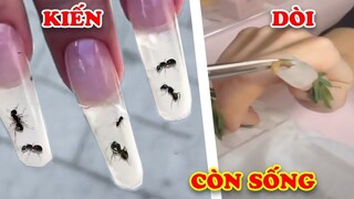 10 Bộ Nail  Điên Rồ Nhất Thế Giới