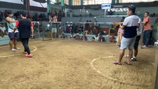 May 4 2hits win