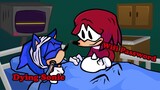 Sonic The Wifi Password Knuckles - Friday Night Funkin'