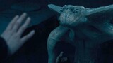 [Remix]Bộ sưu tập quái vật đáng sợ trong 36 bộ phim