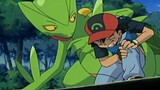 Pokémon AMV – Sceptile – Never Too Late