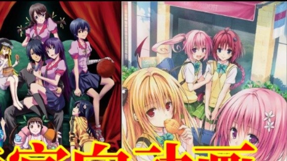 Real and fake harem popularity ranking among anime fans, guess the number one?