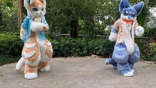 【 fursuit dance 】คลิกเพื่อเก็บเกี่ยวความสุขทันที! ★Happy Synthesizer★ ขนฟูสองตัวเหมาะสำหรับฤดูร้อน!