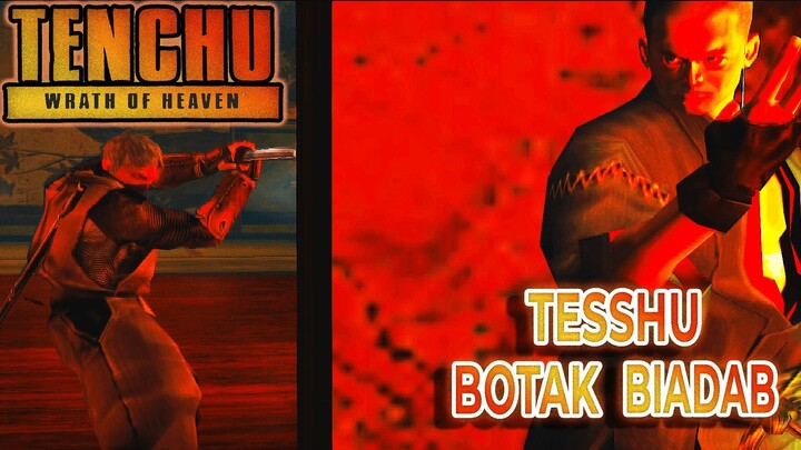 Tesshu vs Rikimaru - Tenchu Wrath of Heaven #02