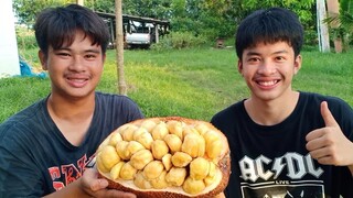 ปอกและลองชิมจำปาดะครั้งแรก!! สิ่งที่คิดกับสิ่งที่ได้ต่างกันมากๆ.