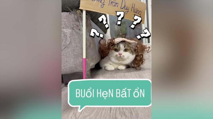 Tải ngay Epik nha mấy đứa meo cat epik