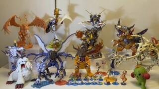 Bộ sưu tập Digimon 01 (Tài khoản ban đầu StarryNison đã bị cấm do sức mạnh bí ẩn và đã được chuyển s