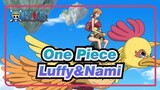 [One Piece] Luffy&Nami--- Friendship