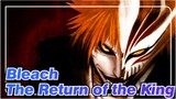 [Bleach AMV]The Return of the King