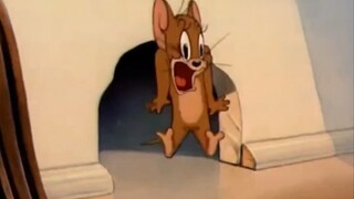 Tom và Jerry là phim tài liệu phải không?