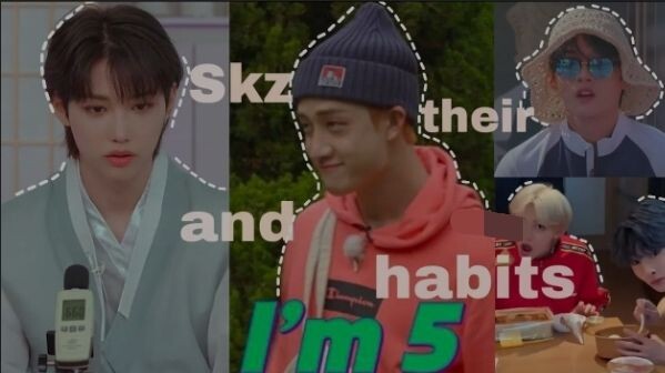 Stray kids and their habits