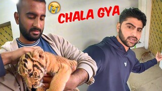 Tiger Ko Wapis kr Dia Reply To Haters