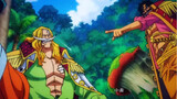 One Piece: Roger poached on the spot and begged his old rival!
