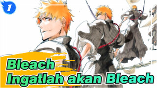 Bleach | [Keepikan Didepan / Pesat Visual] Ingatlah Nama Bleach_1