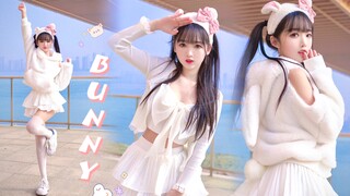 Thỏ trắng béo và mềm, bạn gần quá!! Bunny｜Màn hình dọc