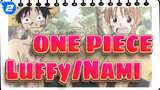 [ONE PIECE] Pertemanan Antara Luffy And Nami_2