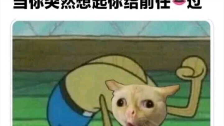 「每日弔图」“当突然想起给前任👄过”＃103