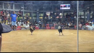 BATTLE OF HIRAW WIN!!