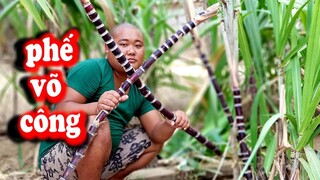 Món Ăn Giản Dị Đậm Chất Quê - Ẩm Thực Việt | Sơn Dược Vlogs #138