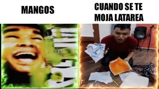 Mangos Phonk VS Cuando Se Te Moja Latarea Phonk