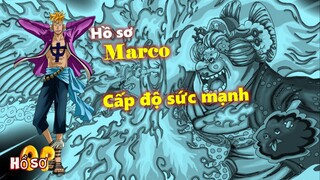 Tất tần tật về Marco: Cấp độ sức mạnh và vai trò trong tương lai