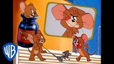 Tom y Jerry en Latino | Dibujos animados clásicos 105 | WB Kids