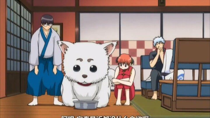 Gintama: Automatically, I was fascinated by that encounter, and my daily routine completely changed.