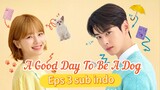 4Good Day to be a Dog E03-540p