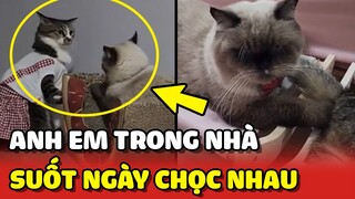 Sen mệt mỏi với 2 Hoàng Thượng suốt ngày CHÂM CHỌC nhau 😂 | Yêu Lu