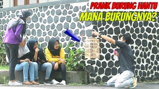 KONTES BURUNG HANTU (invicible bird)