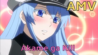 Esdeath - Akame ga Kill AMV