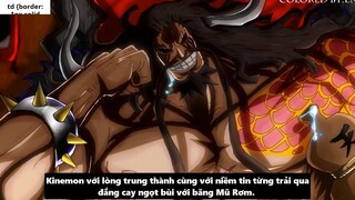 Sức Mạnh Thật Sự Của Kaido Luffy vs Bigmom Tộc Mink Hóa Sulong I One Piece Chương 987_ 6