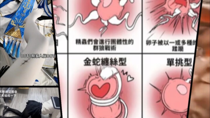 逆 天 抽 象 视 频