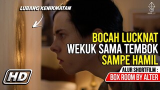 PALING ANEH !!! TEMBOK YANG BISA MENGHASILKAN KETURUNAN - BAHAS SHORT MOVIE BOX ROOM By ALTER