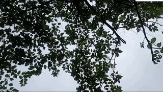 Vietnam Travel and Real Life _ Ba Vi National Park Motobike Trip 1