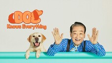 🇰🇷EP2 Dog Knows Everything (ENGSUB)