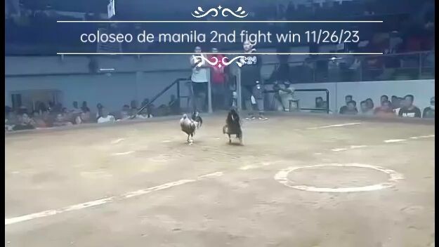 coloseo de manila 2nd fight win 11/26/2023