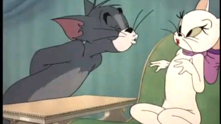 Tom & Jerry - Casanova Cat