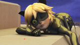 [Miraculous | Chat Noir] Leisure Time of the Cat