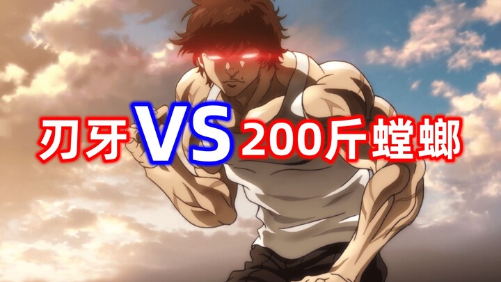 刃牙打败200斤巨型螳螂，老爸听完却笑傻了！