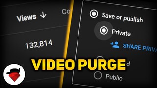 My Video Purge.