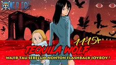 ONE PIECE TERBARU ! WAJIB TAU SEBELUM MELIHAT KISAH FLASHBACK JOYBOY ! JEMBATA TEQUILA WOLF