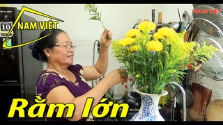 Rằm lớn [Nam Việt 1795]