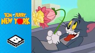 When Jerry Ruined Tom's Romantic Date | Tom & Jerry in New York | Boomerang UK