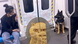 【Animal Circle】K9: Stare once more & I'll arrest you.