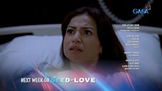 The Seed Of Love: (Last 3 Week Week 14)