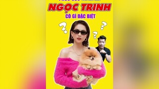 Chó Phốc Sốc Của Ngọc Trinh có gì đặc biệt? LearnOnTikTok education tuitienpet  ngoctrinh pomeranian pet thucung esm ellastudy