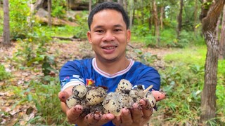 เก็บเห็ดตาโล่ เห็ดตะไค ปลายฝนต้นหนาว กับวันฝานกลอยของครอบครัว