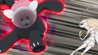 Pokémon 丨 Chỉ có thần gấu mới có thể đánh bại con bọ hung dữ phải không?