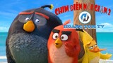 Review Angry Birds 2 - Chim điên nổi giận 2 | HoangTomTV - giới thiệu phim Chim điên|